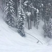 Rachael Stene's photo