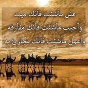 Munir Al Selwadi's photo