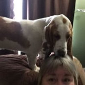 Shelley Eckvahl's photo