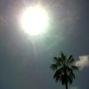 Sandra Pitroipa's photo