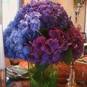 Jeanne Barry's photo