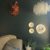 Sarah Meas's photo