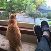 Hank Vigil's photo