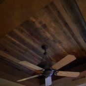 Michele Bibeau's photo