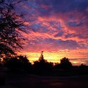 Tracey Dantoni's photo
