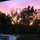 webuser_50308