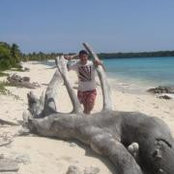 Miki Sampol's photo