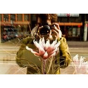 Filipe Ferreira's photo