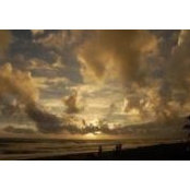 Lisa Doyle's photo