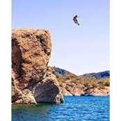 Andrew Forrest's photo