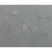 Foto von Patricia Dedmon