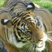 Foto von Rahul Mirlekar