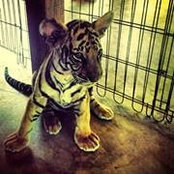 Rain Perry's photo