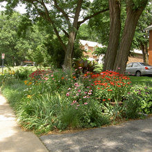 Landscape Ideas