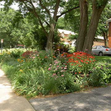 DYI Home Gardening - Grow Native