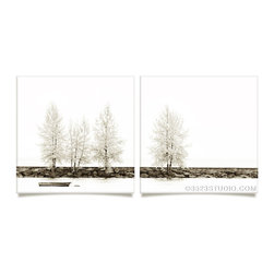 Tree Sepia Collection - Prints And Posters