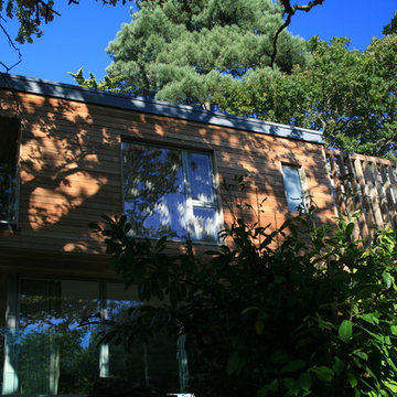 The Tree House