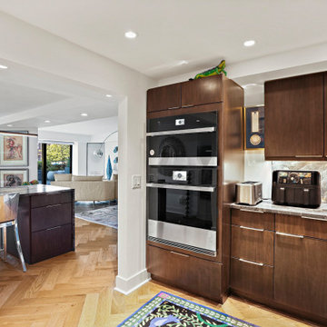 Modern Kitchen Design Washington, DC