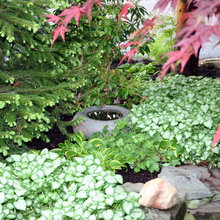 Japanese Tea Garden Fountains