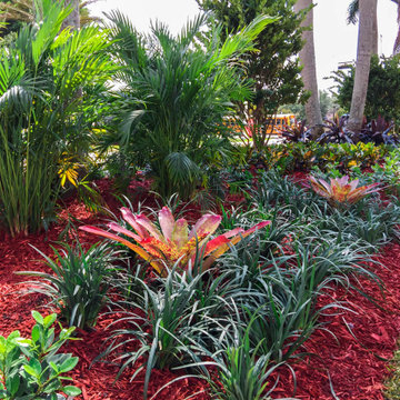 Complete overhaul of median strip landscaping in San Messina Weston Florida.