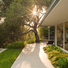 exterior lansdcape