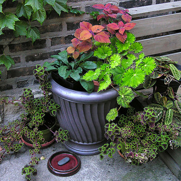 shade containers | Artistry Landscaping Design