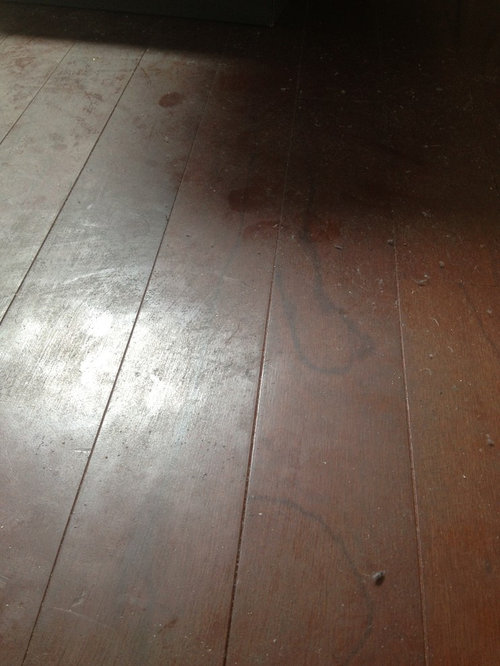 Have I Ruined The Owners Wood Floors, How To Fix Sun Damaged Hardwood Floors