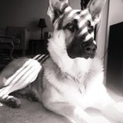 Nikita Davis's photo