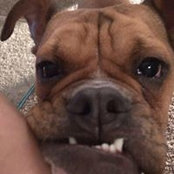 Brandon Helm's photo