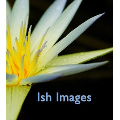 Ish Images