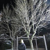 Asandi Rodica's photo