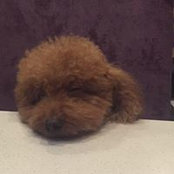 Agnes Leong's photo