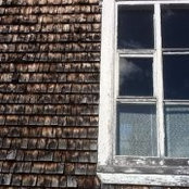 Fabienne Thibault's photo
