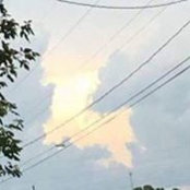 Hannah Heltz's photo