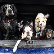 Abbie Scott's photo