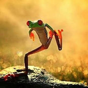 Laura Craig's photo
