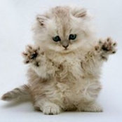 Maureen Chesney's photo