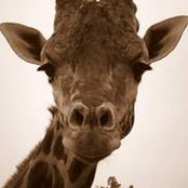 Brittany Smith's photo