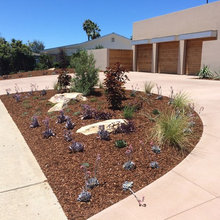 Exterior Ideas