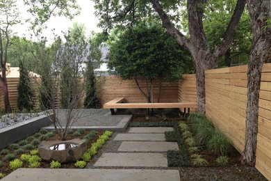 Design ideas for a contemporary courtyard landscaping in Dallas.