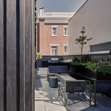 Urban Sanctuary