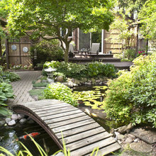 Landscape Ideas