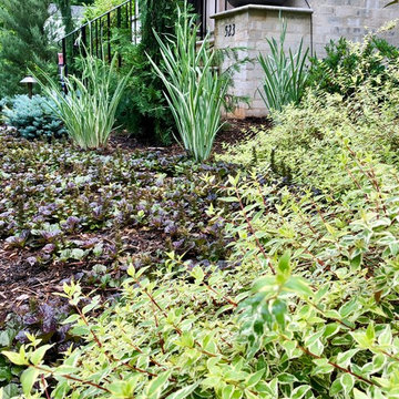 Pool-side Color Garden.