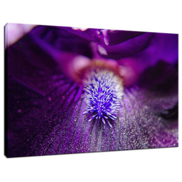 Eye of Iris Floral Nature Photography Canvas Wall Art Print, 24" X 36"