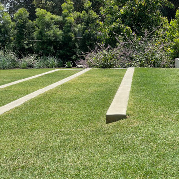 DSMA Landscape Details