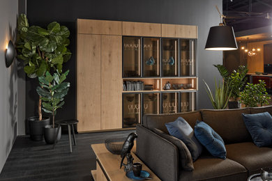 Design ideas for a modern living room in Hanover.
