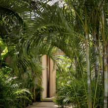 Chapman Landscape