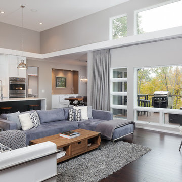 Transitional Living Room