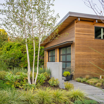 Lakeside Modern