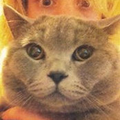Le Lia's photo